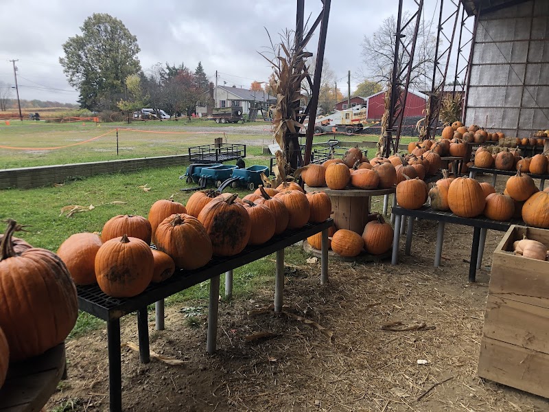 Guyette Farms Cleveland atmosphere
