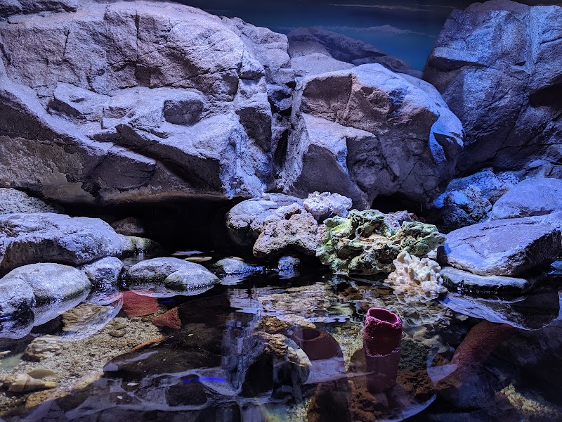 Lake Erie Nature & Science Center Cleveland atmosphere