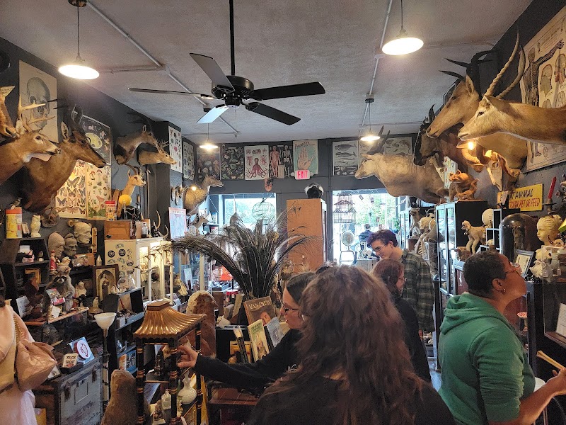 Cleveland Curiosities Cleveland atmosphere
