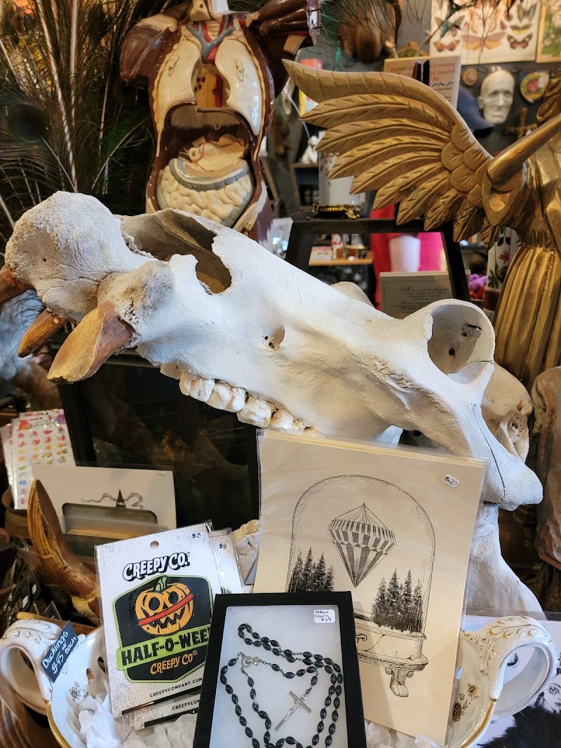 Cleveland Curiosities Cleveland atmosphere