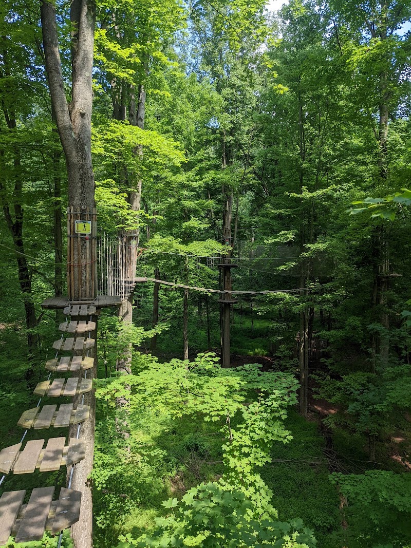 Go Ape Zipline and Adventure Park Cleveland interior