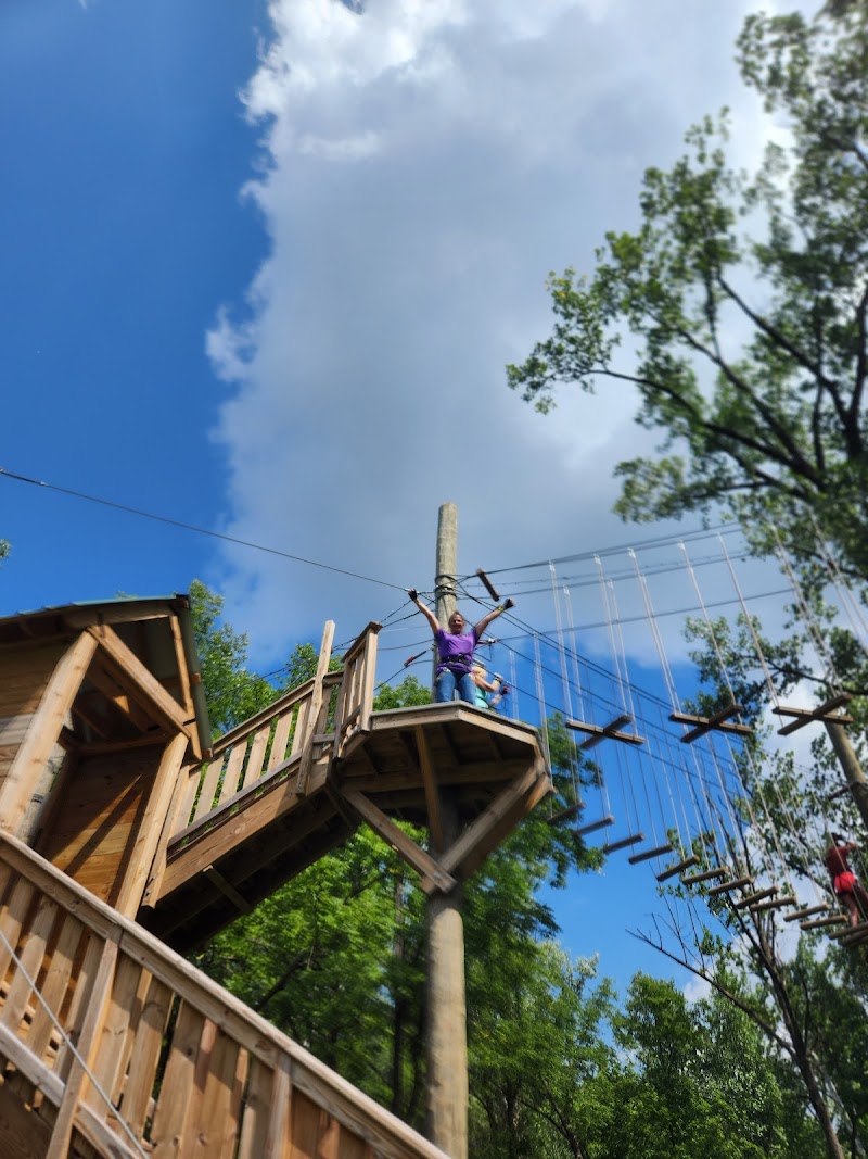 Go Ape Zipline and Adventure Park Cleveland atmosphere