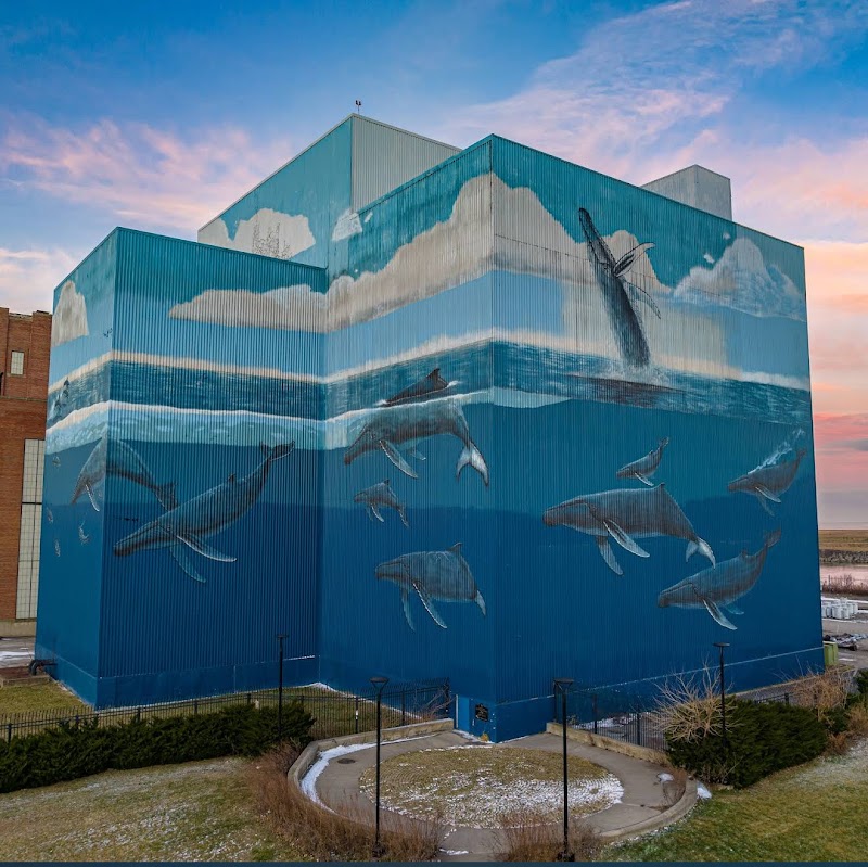 The Wall of Whales - Cleveland, Ohio