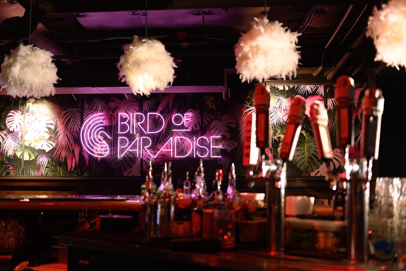 Bird of Paradise under Bright Side Restaurant in Cleveland