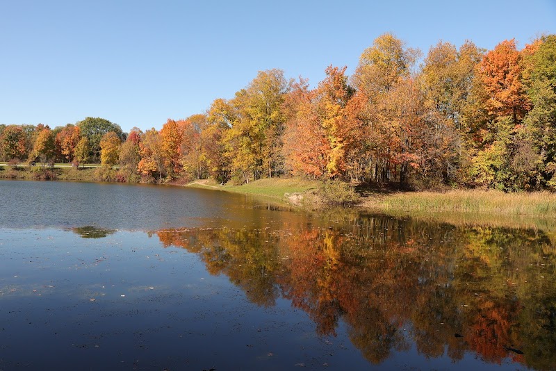 Shadow Lake