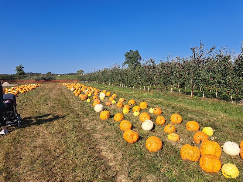 Burnham Orchards Cleveland interior