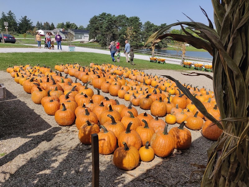 Patterson Farms