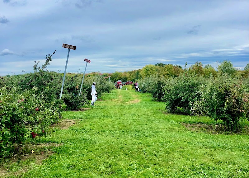 Patterson Farms Cleveland atmosphere