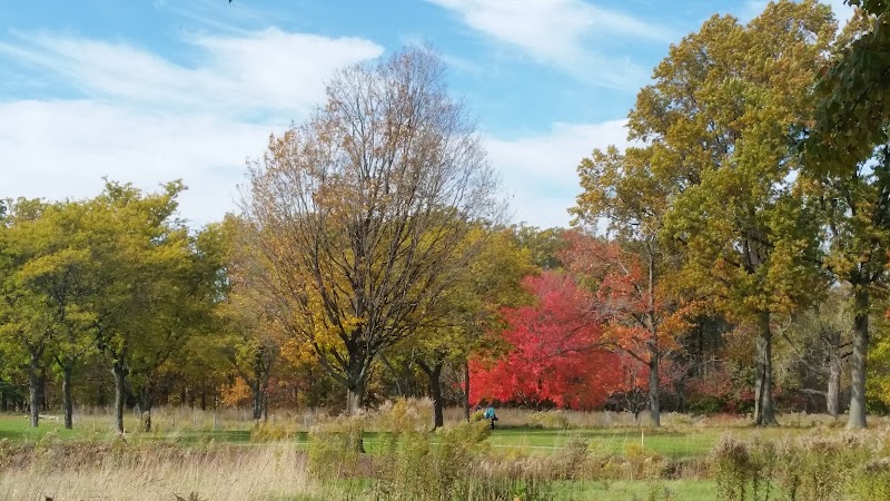 Acacia Reservation in Cleveland