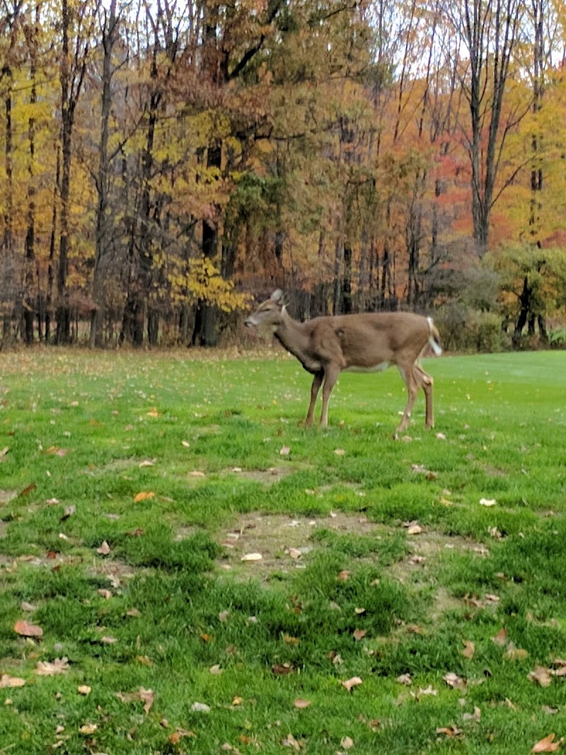 Shawnee Hills Golf Course Cleveland atmosphere