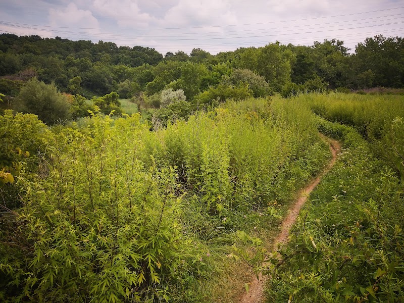 Ohio & Erie Canal Reservation Cleveland atmosphere