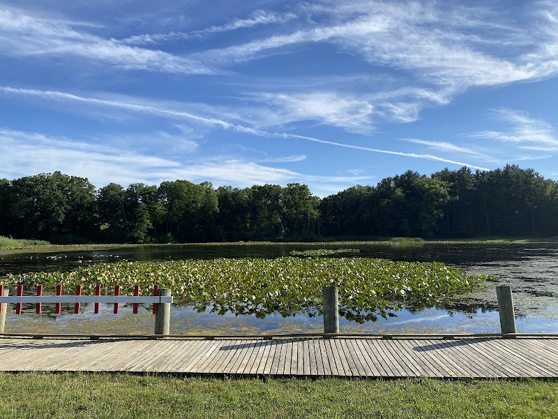 Kendall Lake Cleveland interior