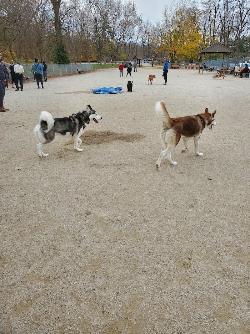Lakewood Dog Park Cleveland interior