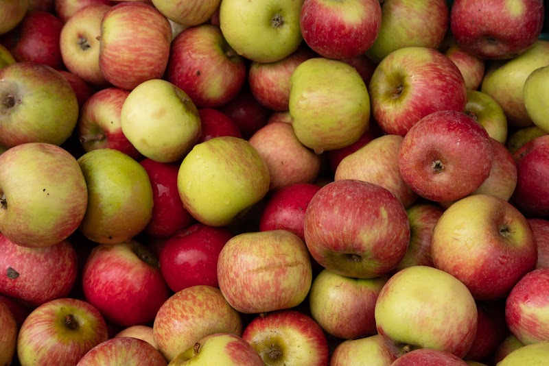 Monroe's Orchard in Cleveland