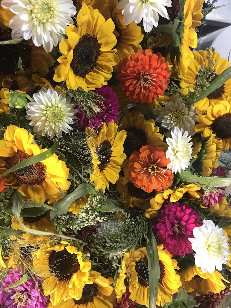 The Farmers Market of Medina County Cleveland atmosphere