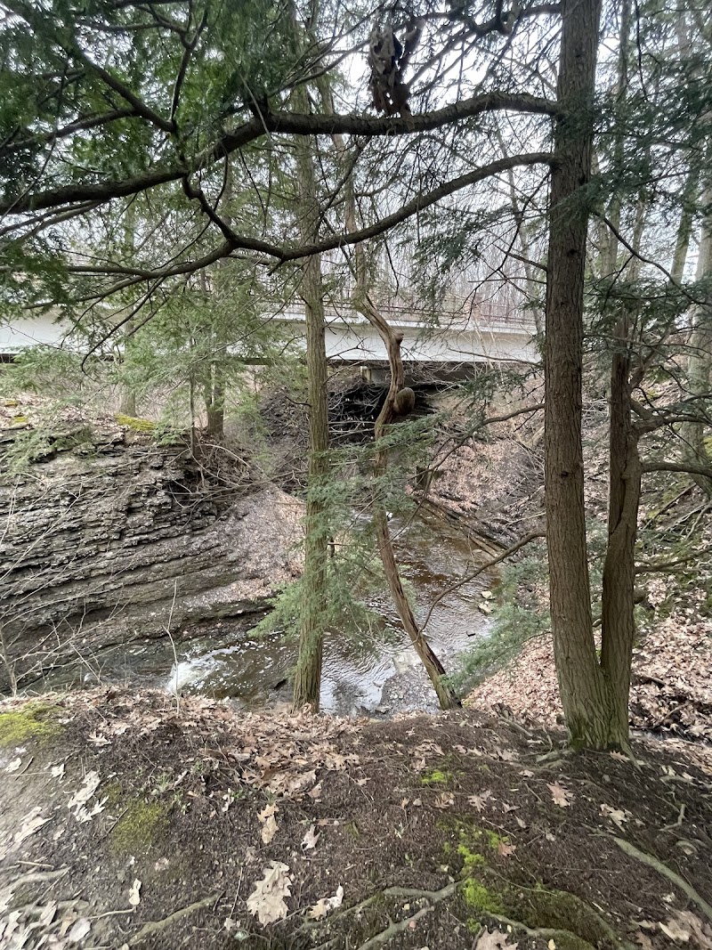 Buttermilk Falls Cleveland interior