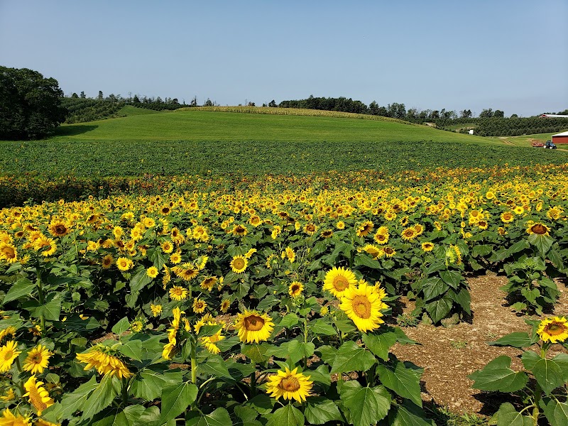 Arrowhead Orchard in Cleveland