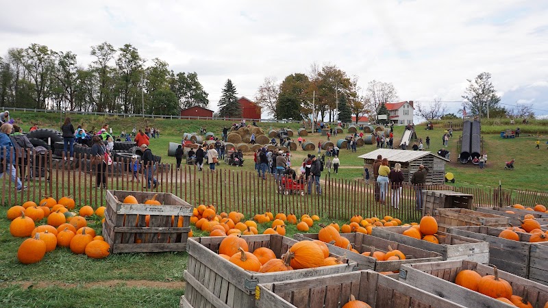 Arrowhead Orchard Cleveland interior