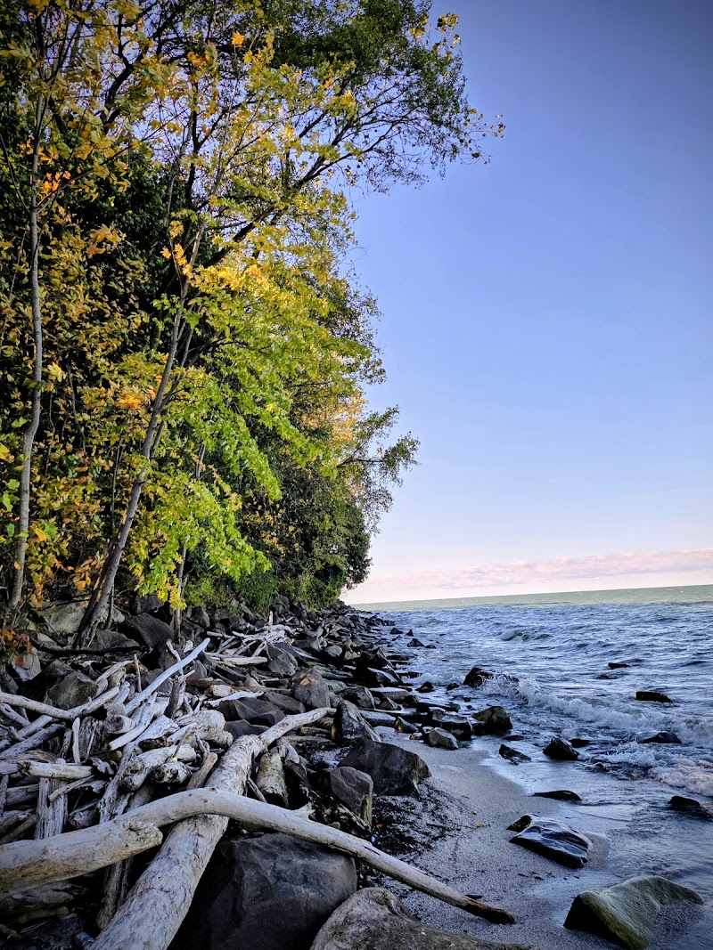 K-9 Coastline Cleveland atmosphere