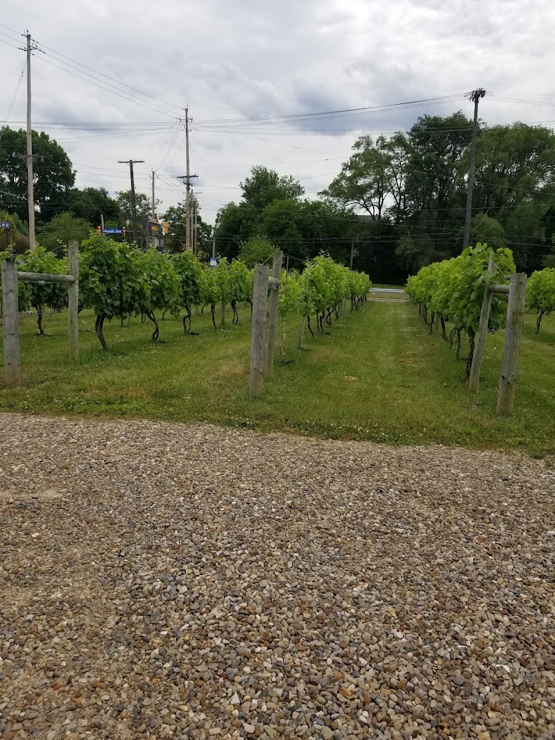 Château Hough Vineyards and Winery Cleveland atmosphere