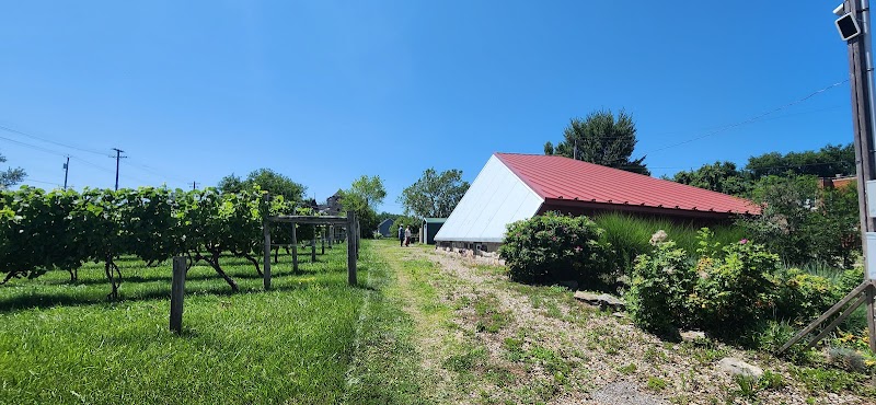 Château Hough Vineyards and Winery Cleveland atmosphere