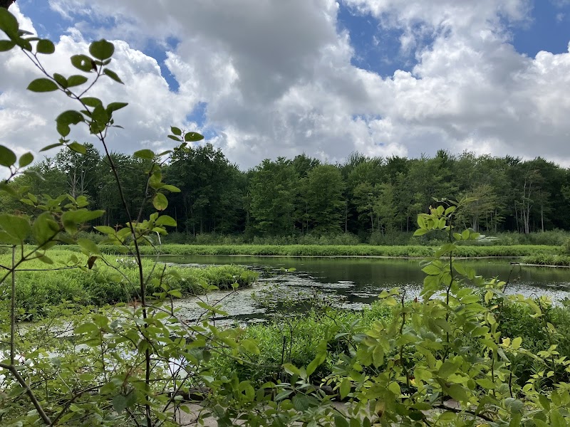 North Chagrin Nature Center Cleveland interior