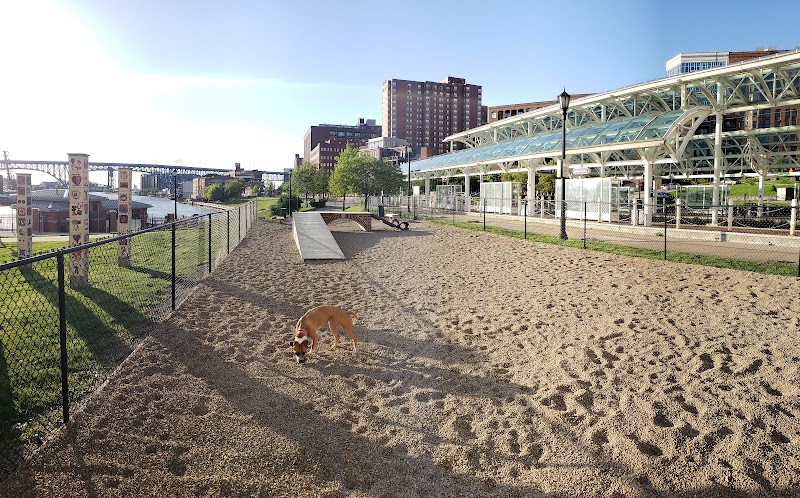 Downtown Cleveland Dog Park Cleveland atmosphere