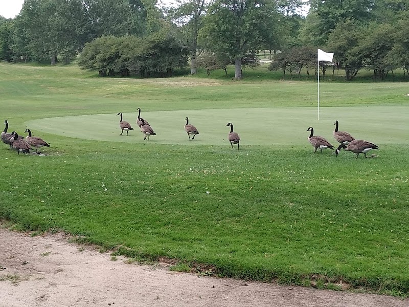 Highland Park Golf Course Cleveland atmosphere