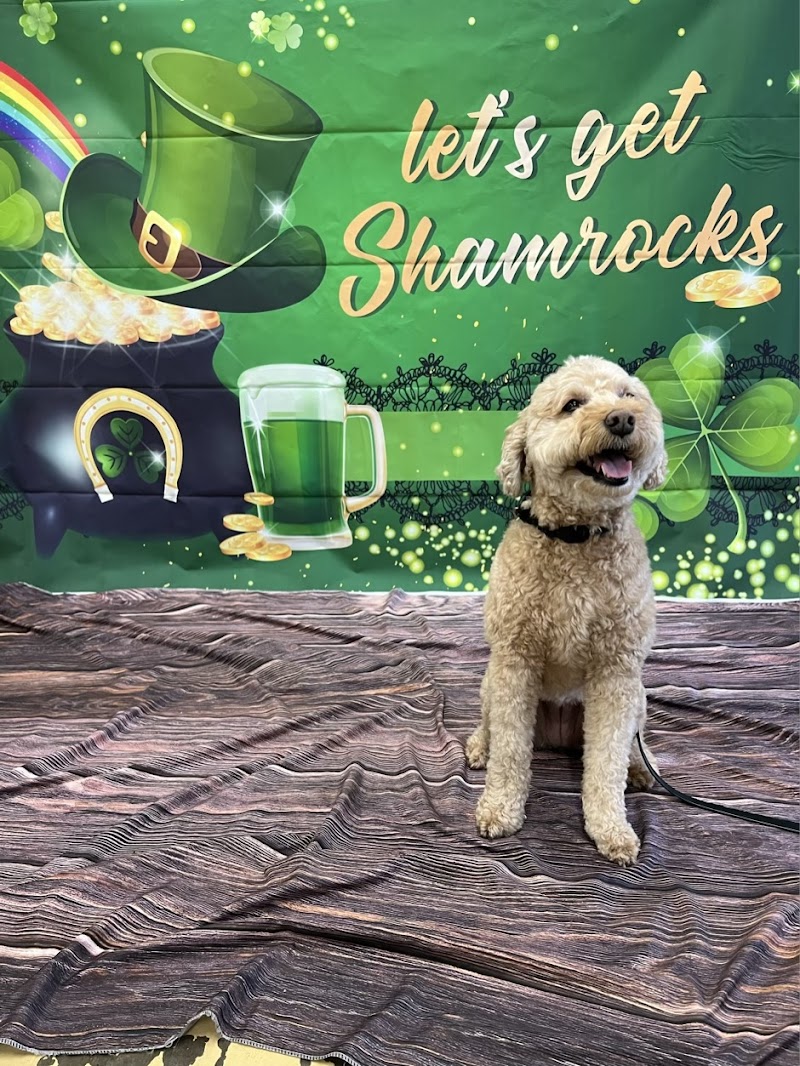 Max and Alayna's Paws Play Cleveland atmosphere