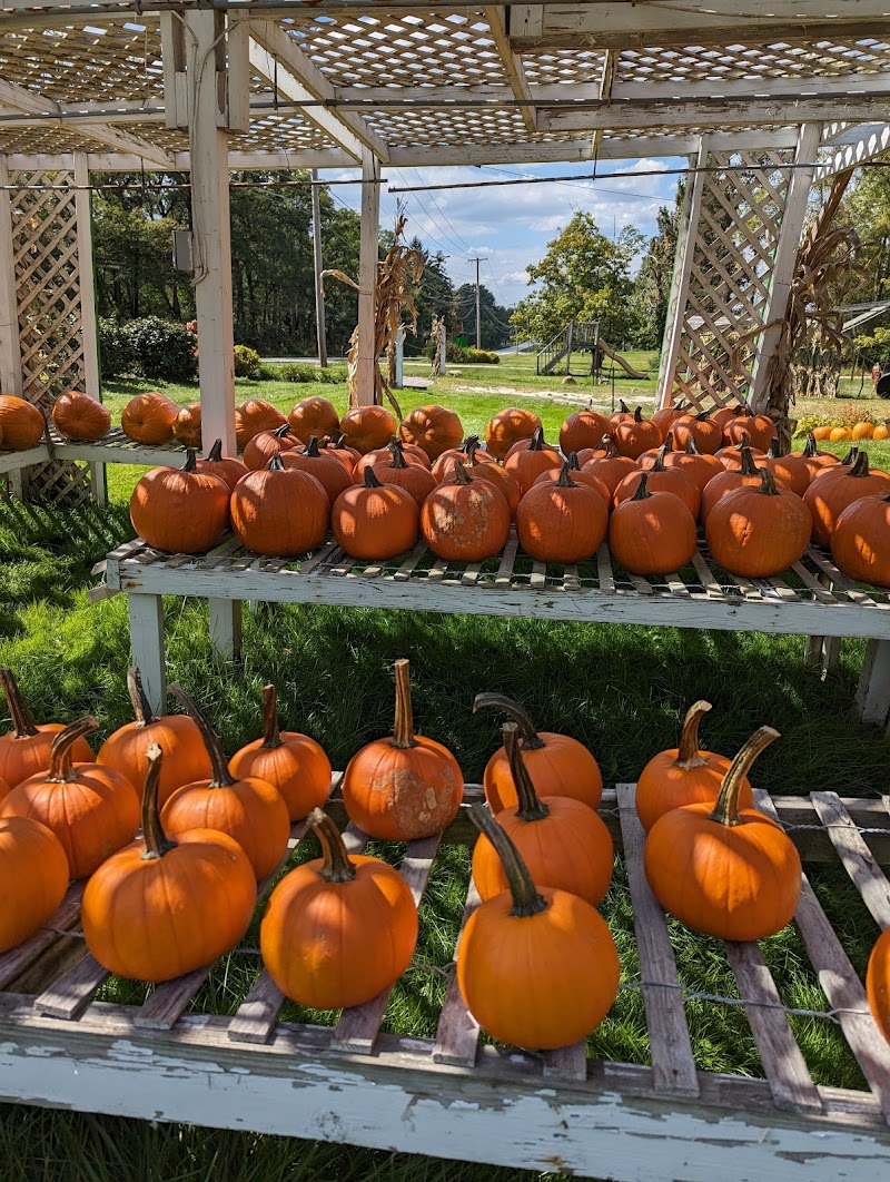 Hillside Orchard & Farm Market Cleveland atmosphere