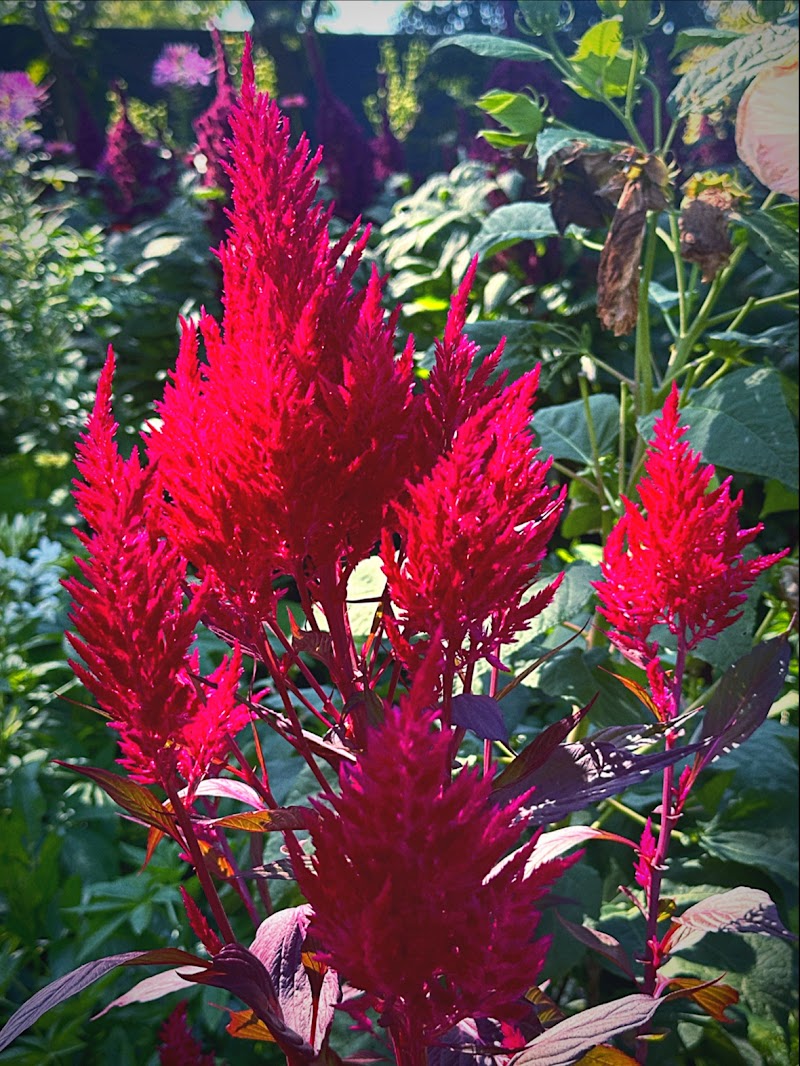 Gardenview Horticultural Park Cleveland atmosphere