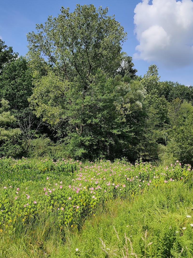 Monarch Bluff Picnic Area in Cleveland