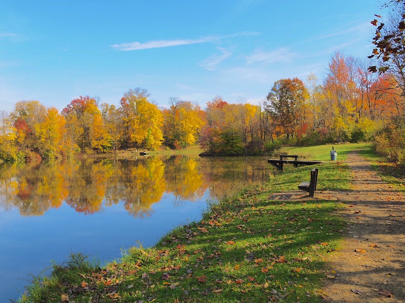 Shadow Lake Picnic Area in Cleveland