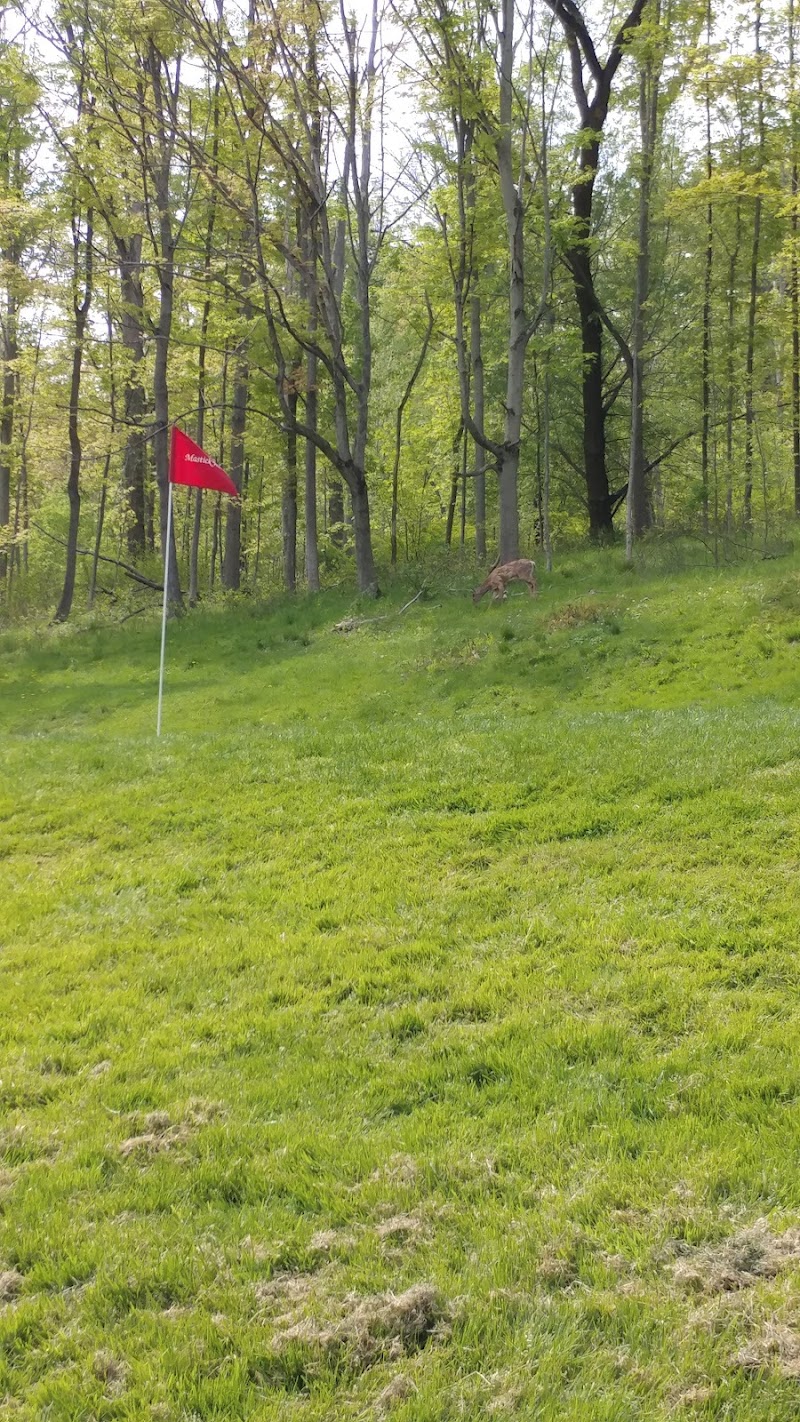 Mastick Woods Golf Course Cleveland atmosphere