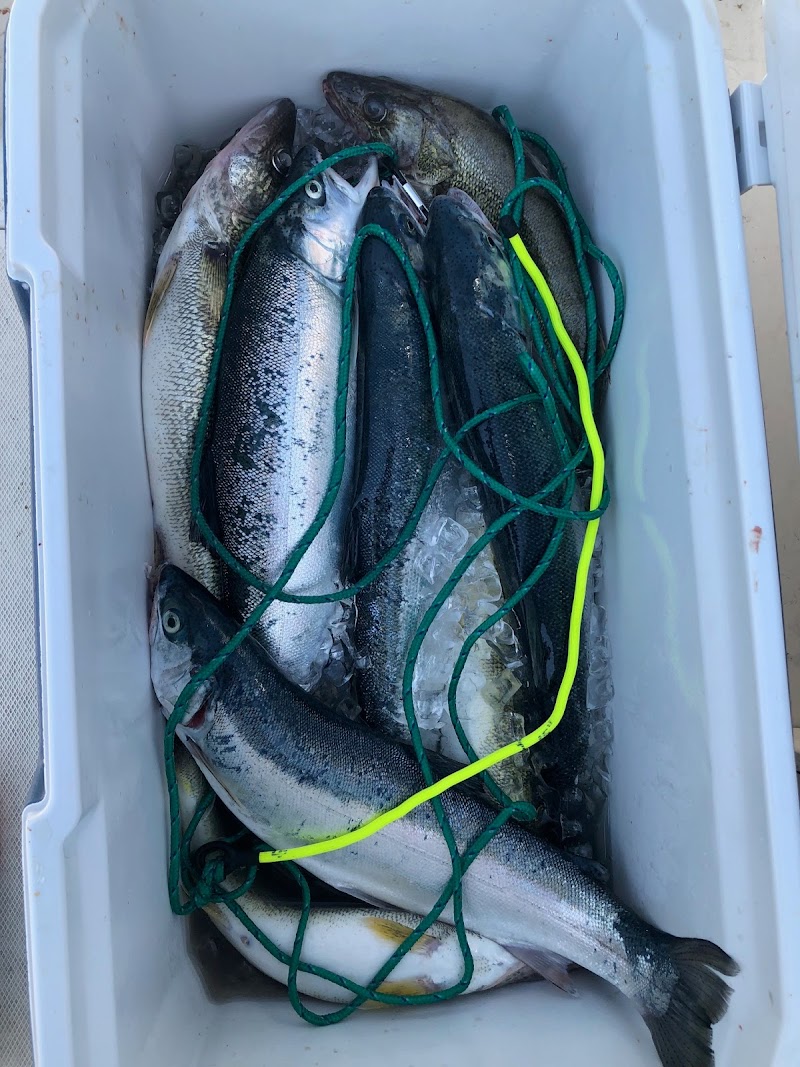 A&C Sportfishing Charters Cleveland atmosphere