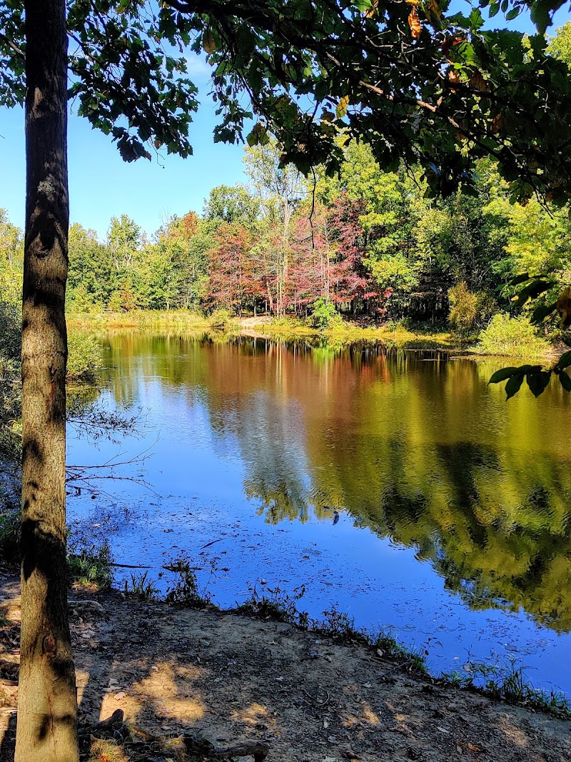 Beyer's Pond in Cleveland