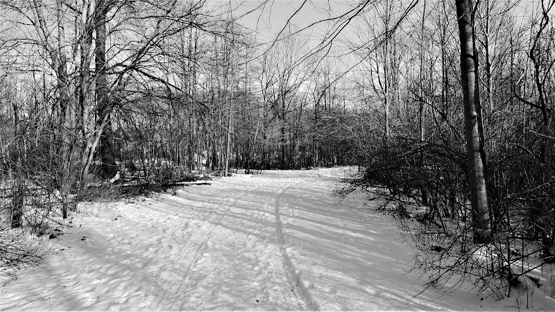 Beyer's Pond Cleveland interior