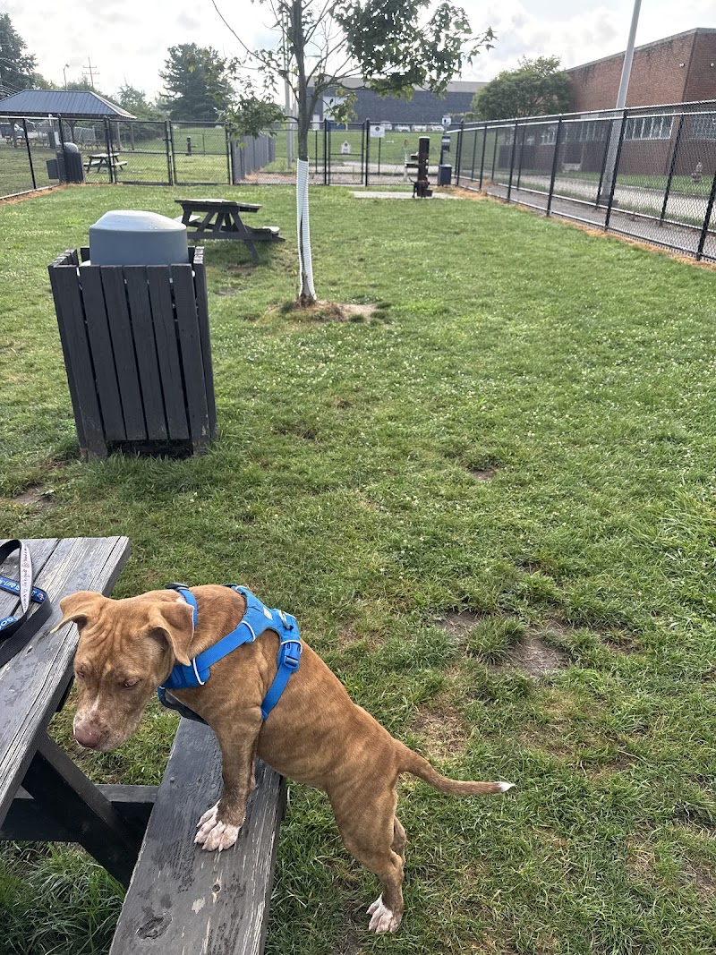 Tri-City Bark Park Cleveland interior