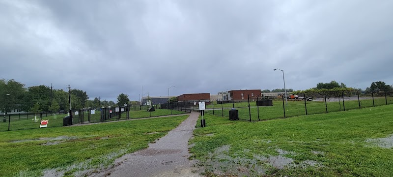 Tri-City Bark Park Cleveland atmosphere