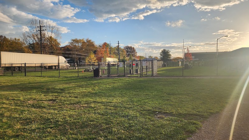 Tri-City Bark Park Cleveland atmosphere