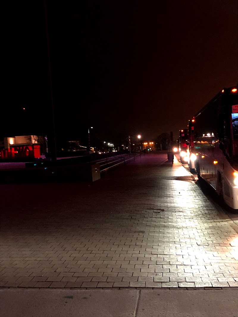 Great Day! Tours & Charter Bus Service Cleveland interior