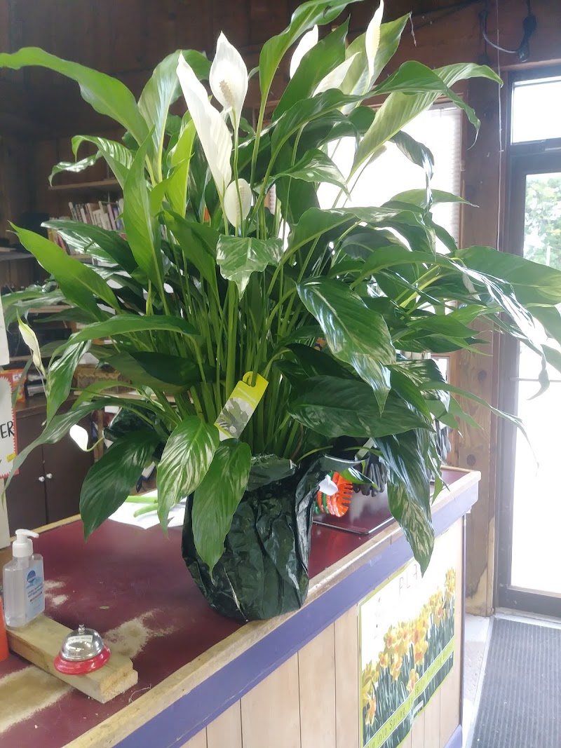 The Flower Loft at Gali's Cleveland atmosphere