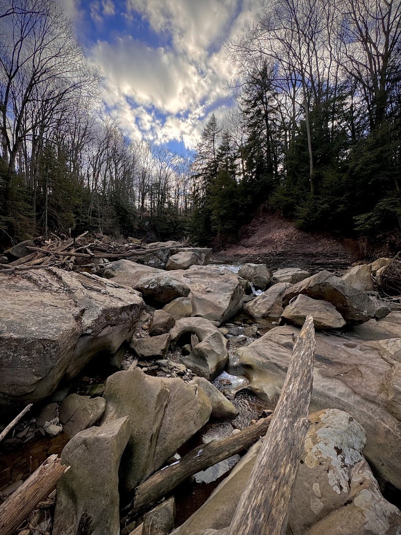 Gorge Loop Cleveland interior