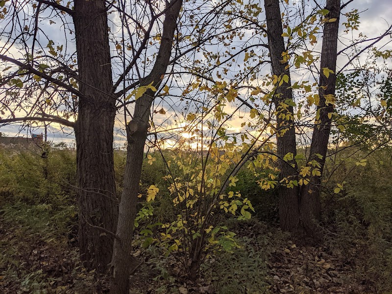 Brighton Park - Cleveland Metroparks Brookside Reservation Cleveland interior