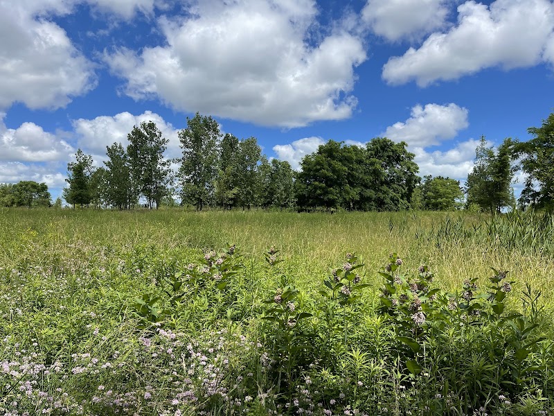Brighton Park - Cleveland Metroparks Brookside Reservation Cleveland atmosphere
