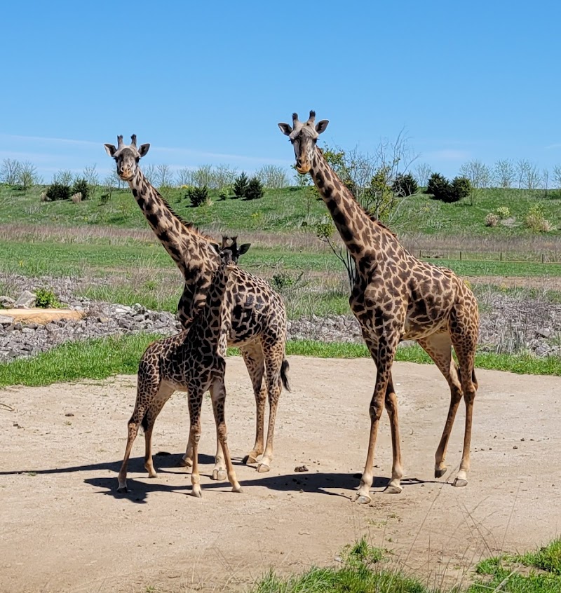 Columbus Zoo and Aquarium Cleveland atmosphere