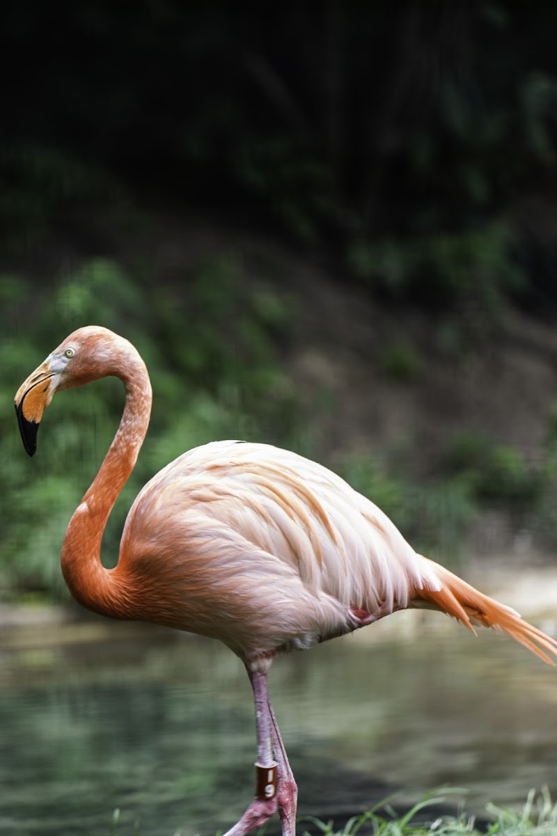 Columbus Zoo and Aquarium Cleveland atmosphere