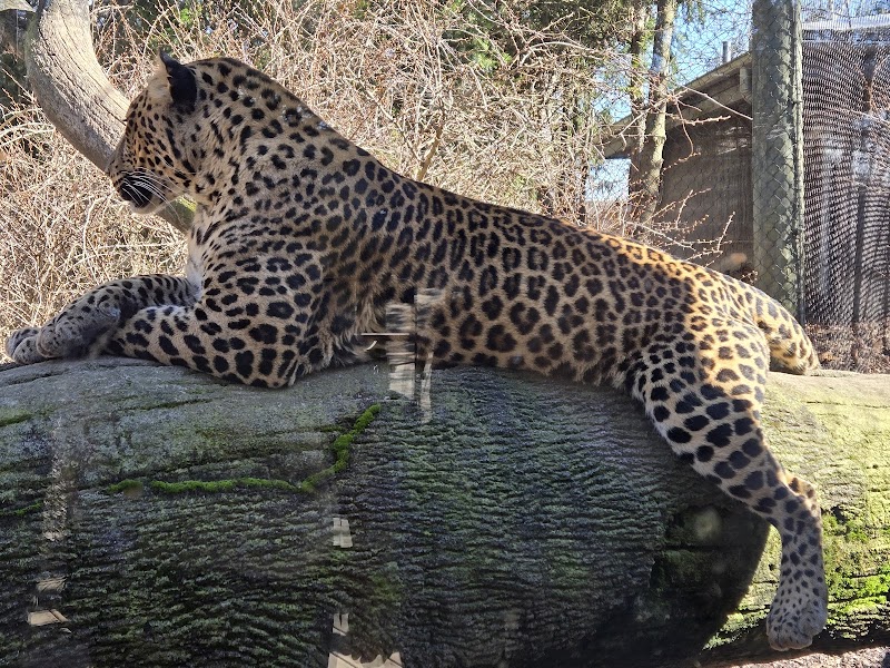 Columbus Zoo and Aquarium Cleveland atmosphere
