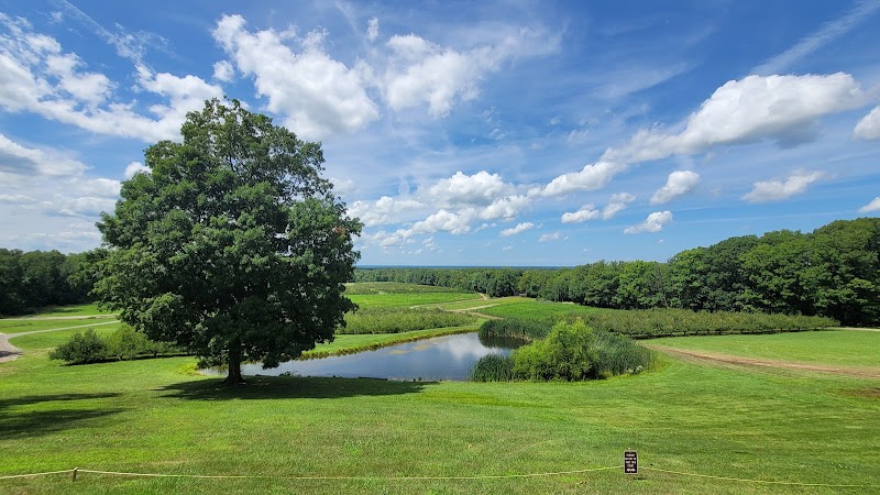 Mapleside Farms