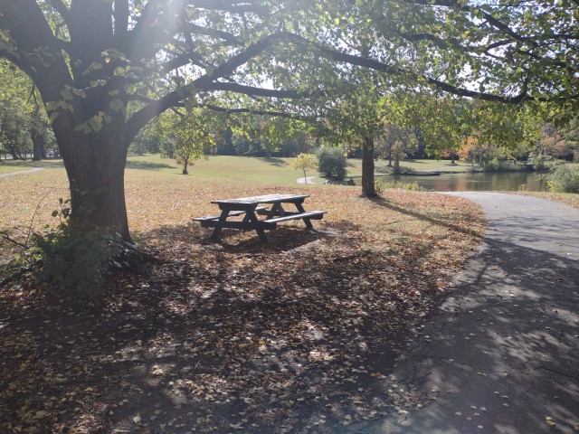 Forest Hill Park Fishing Pond Cleveland atmosphere